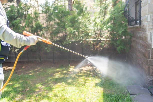 Best Fumigation Services  in Los Alamos, CA